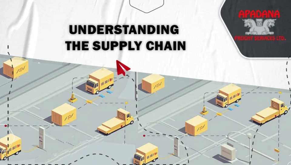 the Supply Chain